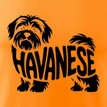 Havanese nápis v tele