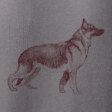 Nemecký ovčiak - kreslený skica  