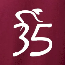 Cyklista oslavuje tridsaťpäťku (35)