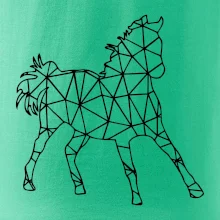 Geometria - kôň Geometria - kôň