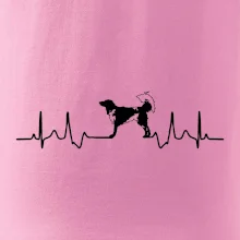 Český strakatý pes EKG