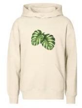 Monstera - dva listy