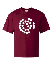 SpaceX Super Heavy Raptor 2