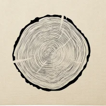 Letokruhy 55 bez veku