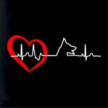 Nemecký ovčiak ekg