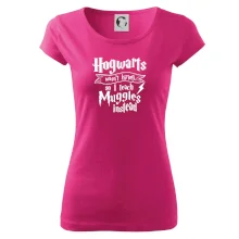 Harry - Hogwarts wasn’t hiring, so I teach Muggles instead