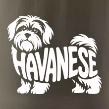 Havanese nápis v tele