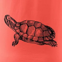 Ceruzkou kreslená korytnačka