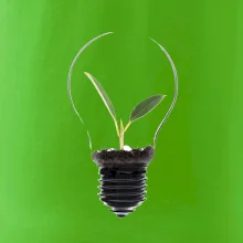 Žiarovka kvetináč