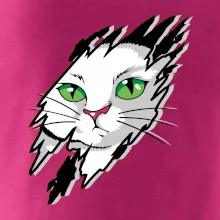 Kočka v roztrženém triku Kočka v roztrženém triku