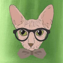 Hipster sphynx