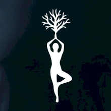 Yoga strom Yoga strom