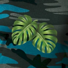 Monstera - dva listy