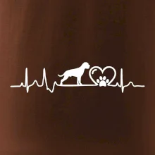 Nemecký boxer EKG