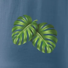 Monstera - dva listy