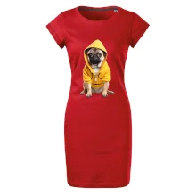 Mops v mikine Mops v mikine