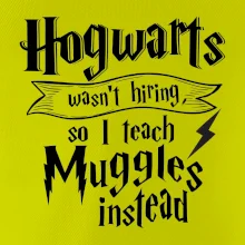 Harry - Hogwarts wasn’t hiring, so I teach Muggles instead