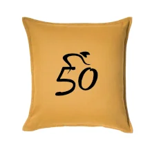 Cyklista oslavuje päťdesiatku (50)