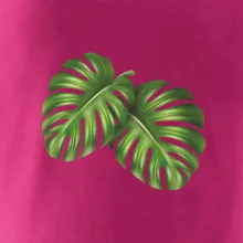 Monstera - dva listy Monstera - dva listy