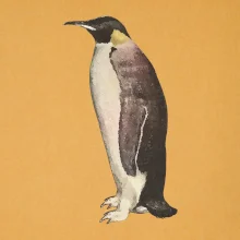 Tučniak kreslený vodovými farbami