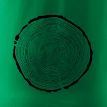 Letokruhy 85 bez veku