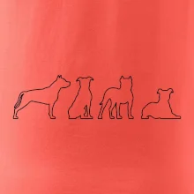 Americký stafordšírsky teriér v rôznych pozíciách