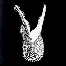 Krokodíl kreslený  (Pecka design)