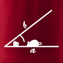 Matematická myš Matematická myš