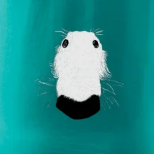 Barzoj čumák (Moňas)