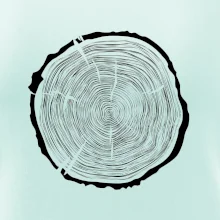 Letokruhy 70 bez veku Letokruhy 70 bez veku