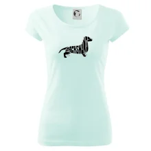 Jazvečík - Dachshund