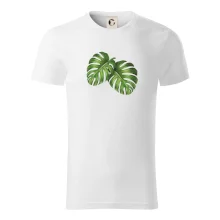 Monstera - dva listy Monstera - dva listy