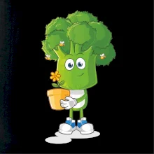 Brokolica záhradkár