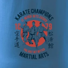Karate Champions