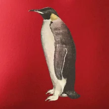 Tučniak kreslený vodovými farbami