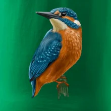 Ľadnáčik kreslený