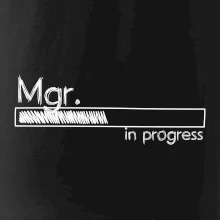 In progress titul Mgr. magister / magistra