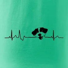 Jack Russell Teriér hrubosrstý Ekg