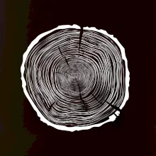 Letokruhy 80 bez veku