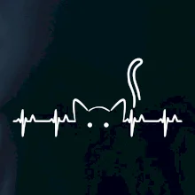 Mačka EKG