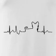Yorkshirský teriér EKG Yorkshirský teriér EKG