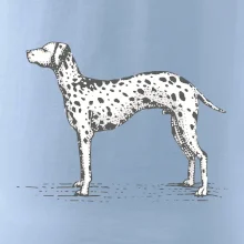 Vintage Dalmatin