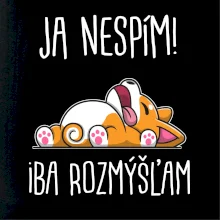 Ja nespím, iba rozmýšľam SK