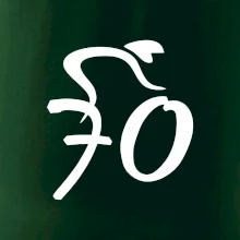 Cyklista oslavuje sedemdesiatku (70)