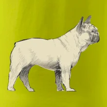 Vintage French bulldog