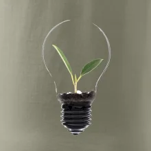 Žiarovka kvetináč