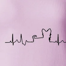 Yorkshirský teriér EKG Yorkshirský teriér EKG