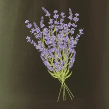 Levanduľa kreslená Levanduľa kreslená