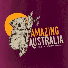 Amazing Australia koala