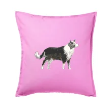 Border kólia kreslená